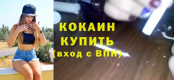 твердый Алексин