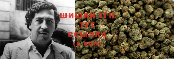 ешки Алзамай