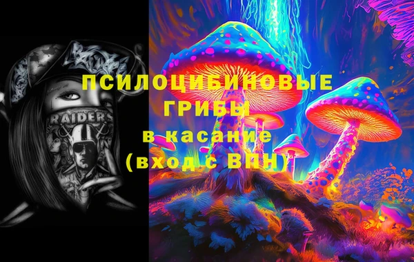 ешки Алзамай