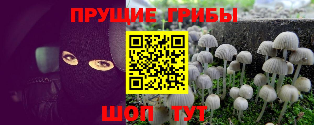 Березники  Галлюциногенные грибы мицелий  Вход с VPN 