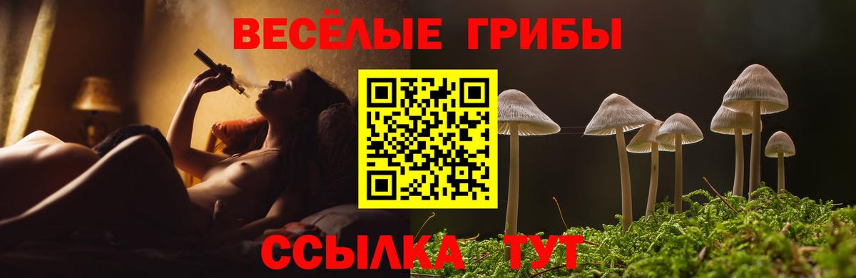 Псилоцибиновые грибы Cubensis Березники